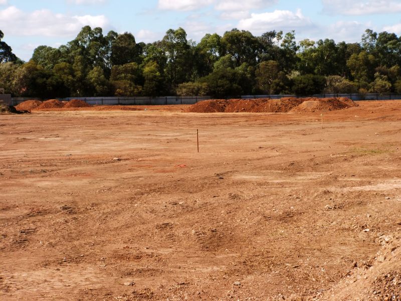 Site Before and After