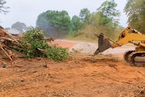 Ground Clearing in Granbury