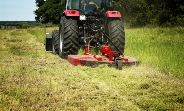 Brush Clearing Service in Granbury