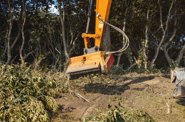 Brush Removal Service in Granbury