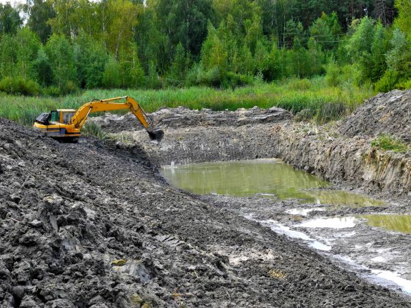 Cost of Lake Lot Clearing in Granbury