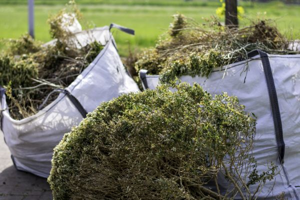 Bushes Clearing in Granbury
