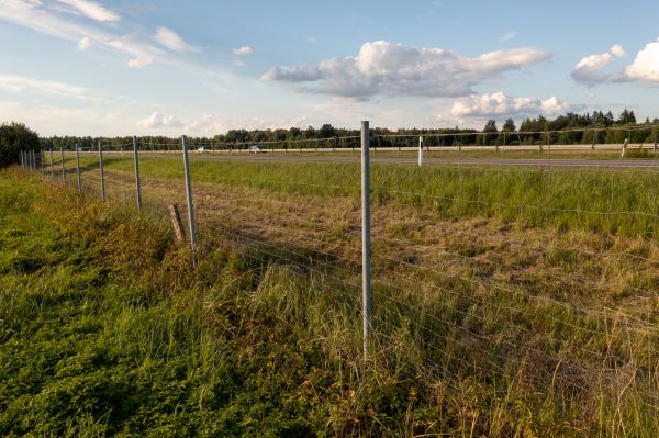 Cost of Property Line Clearing in Granbury