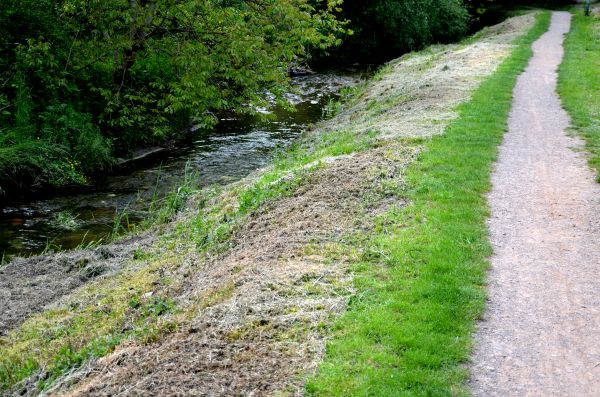 Cost of Trail Cutting in Granbury